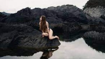 download (13)